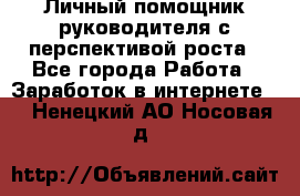 Личный помощник руководителя с перспективой роста - Все города Работа » Заработок в интернете   . Ненецкий АО,Носовая д.